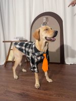 Black Plaid Dog Shirt Dog Clothes for Large Medium Dog - Image 4