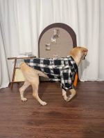 Black Plaid Dog Shirt Dog Clothes for Large Medium Dog - Image 6