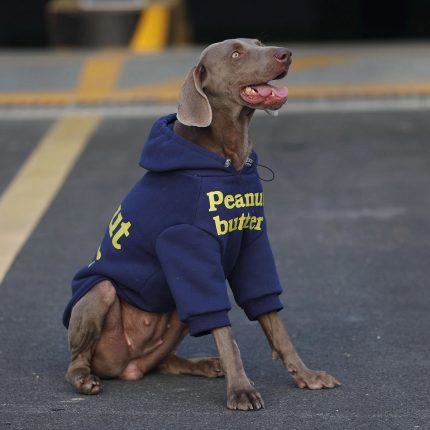 Blue Hoodie Sweater for Medium. Large Dogs