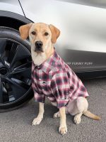 Buffalo Plaid Dog Shirt Dog Clothes for Large Medium Dog - Image 6