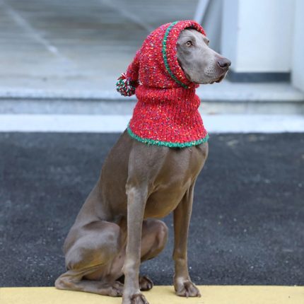 Christmas Hat Knitting Warm Ear Protection Dog Hat