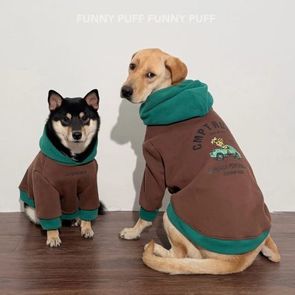 Color Block Dog Hoodie Fun Character Design for Medium. Large Dogs