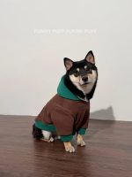 Color Block Dog Hoodie Fun Character Design for Medium. Large Dogs - Image 5