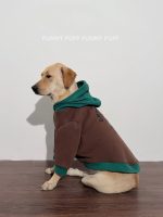Color Block Dog Hoodie Fun Character Design for Medium. Large Dogs - Image 6