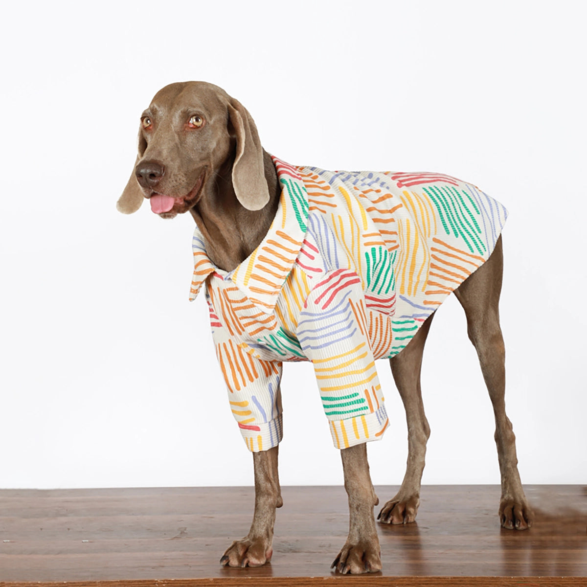 Soft Cotton Breathable Shirt Big Dog Clothes Colorful Large Dog Shirt - 图片 3