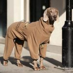 Cozy Fleece Dog Sweater Winter Warmth for Large Breeds - Image 6