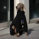 Cozy Fleece Dog Sweater Winter Warmth for Large Breeds - Image 8