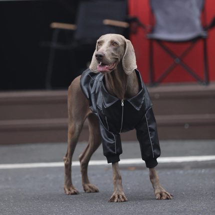 Dog Clothes PU Black Jacket Winter Zip Thick Windproof Coat