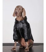 Dog Clothes PU Black Jacket Winter Zip Thick Windproof Coat - Image 3