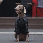 Dog Clothes PU Black Jacket Winter Zip Thick Windproof Coat - Image 4