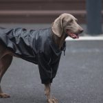 Dog Clothes PU Black Jacket Winter Zip Thick Windproof Coat - Image 5