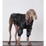Dog Clothes PU Black Jacket Winter Zip Thick Windproof Coat - Image 7