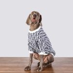 Dogior Monogram Sweater for Large Medium Dog - Image 6