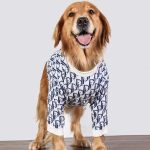 Dogior Monogram Sweater for Large Medium Dog - Image 3