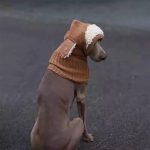Knitting Warm Freeze-proofing Ear Protection Dog Hat - Image 2