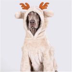 Medium Large Dog Clothing Christmas Elk Shape Coral Fleece Hoodie Winter Dog Cloth - Image 3