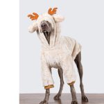 Medium Large Dog Clothing Christmas Elk Shape Coral Fleece Hoodie Winter Dog Cloth - Image 7