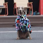 Medium Large Dog Jacket Zip Warm Faux Fur Coat Luxury Clothes Pattern Print Winter Dog Clothing - Image 3