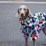 Medium Large Dog Jacket Zip Warm Faux Fur Coat Luxury Clothes Pattern Print Winter Dog Clothing - Image 5