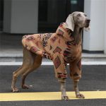 Quilted Fleece Pattern Hoodie for Big Dogs Winter Warm Coat - Image 5