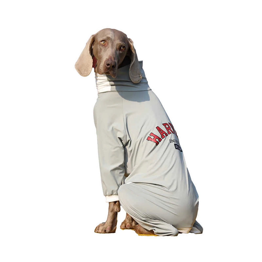 Soft Cotton Breathable Onesie Big Dog Clothes UPF50+ - 图片 8