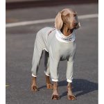 Soft Cotton Breathable Onesie Big Dog Clothes UPF50+ - Image 6