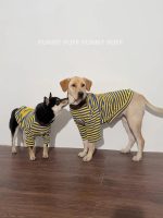 Yellow Striped Soft Cotton Big Dog Clothes for Large Medium Dog - Image 6