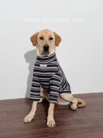 Blue Striped Dog Sweater  for Medium. Large Dogs - Image 2