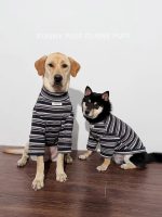 Blue Striped Dog Sweater  for Medium. Large Dogs - Image 3