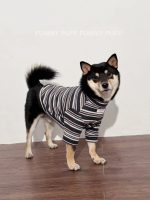 Blue Striped Dog Sweater  for Medium. Large Dogs - Image 4