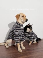 Blue Striped Dog Sweater  for Medium. Large Dogs - Image 5