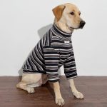 Blue Striped Dog Sweater  for Medium. Large Dogs - Image 6