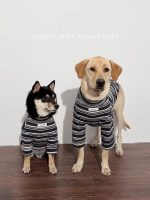 Blue Striped Dog Sweater  for Medium. Large Dogs - Image 7