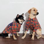 Dog Shirt Rainbow Large Pet Cloth for Medium. Large Dogs - Image 4