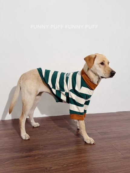 Green White Striped Dog Sweater  for Medium. Large Dogs