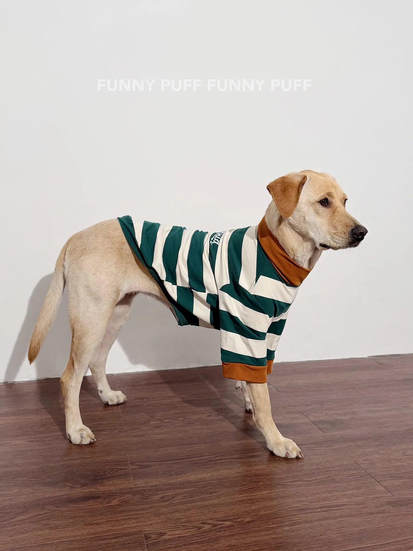 Green White Striped Dog Sweater for Medium. Large Dogs