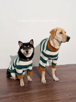 Green White Striped Dog Sweater  for Medium. Large Dogs - Image 2