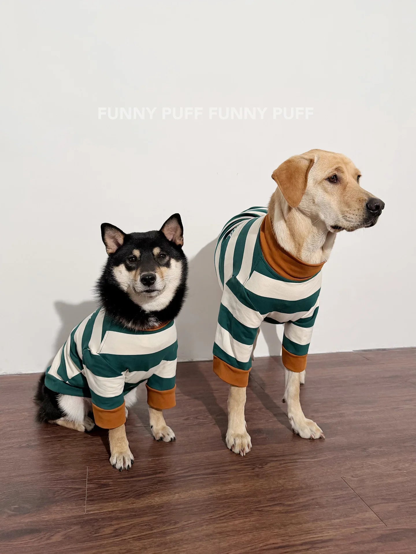 Green White Striped Dog Sweater for Medium. Large Dogs - 图片 2