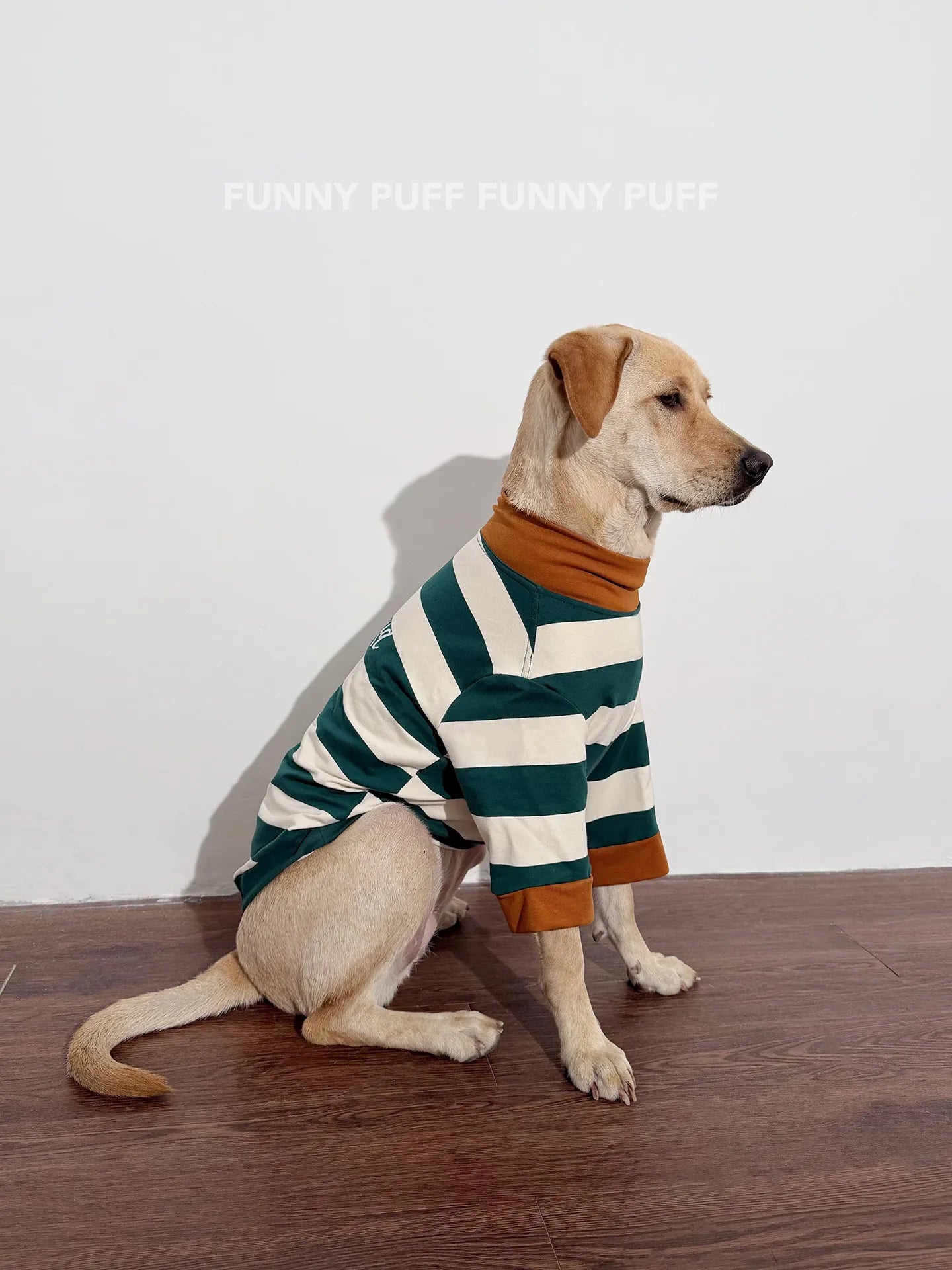 Green White Striped Dog Sweater for Medium. Large Dogs - 图片 3