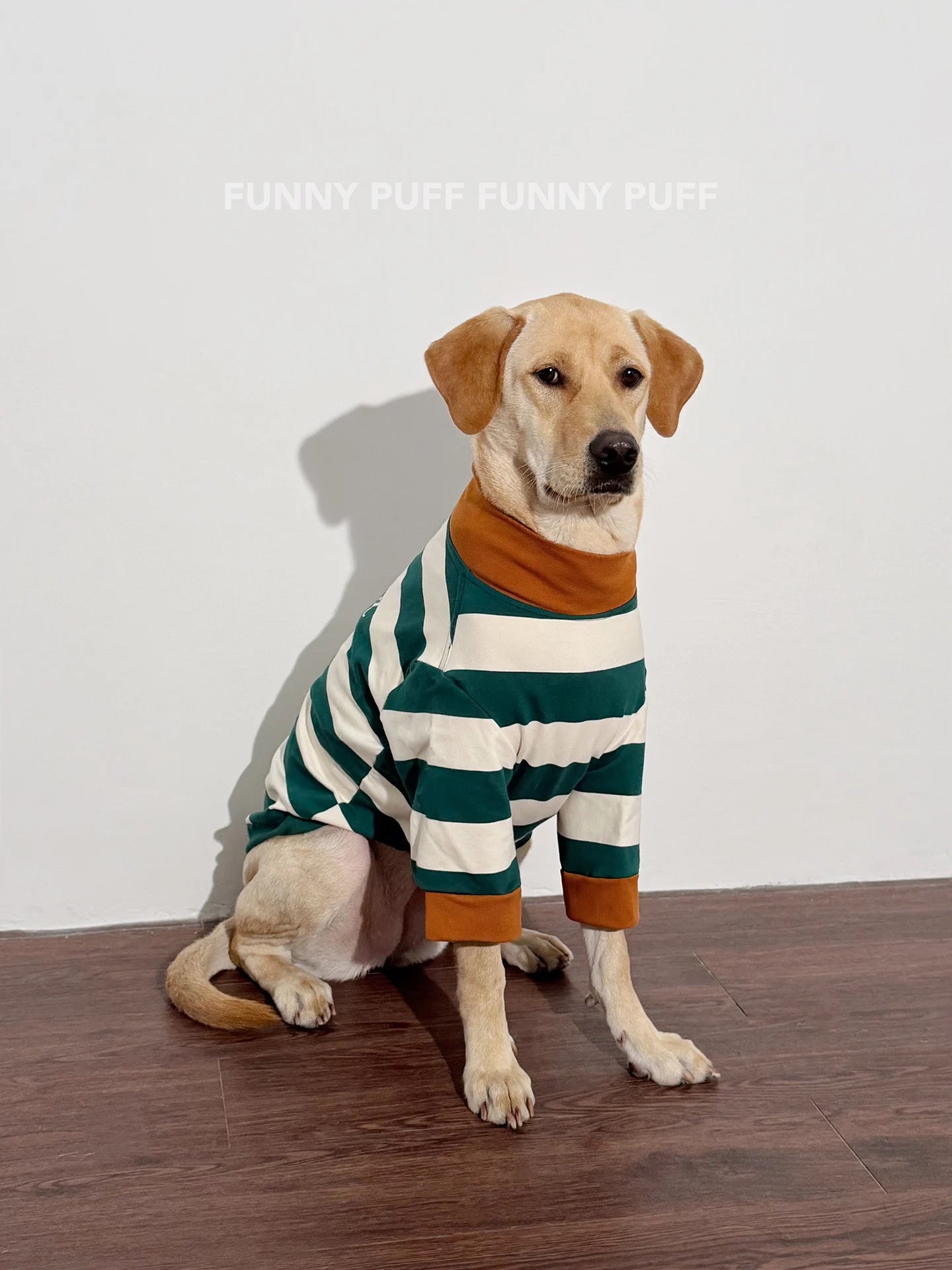 Green White Striped Dog Sweater for Medium. Large Dogs - 图片 4