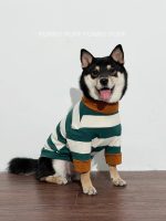 Green White Striped Dog Sweater  for Medium. Large Dogs - Image 5