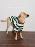 Green White Striped Dog Sweater  for Medium. Large Dogs - Image 7