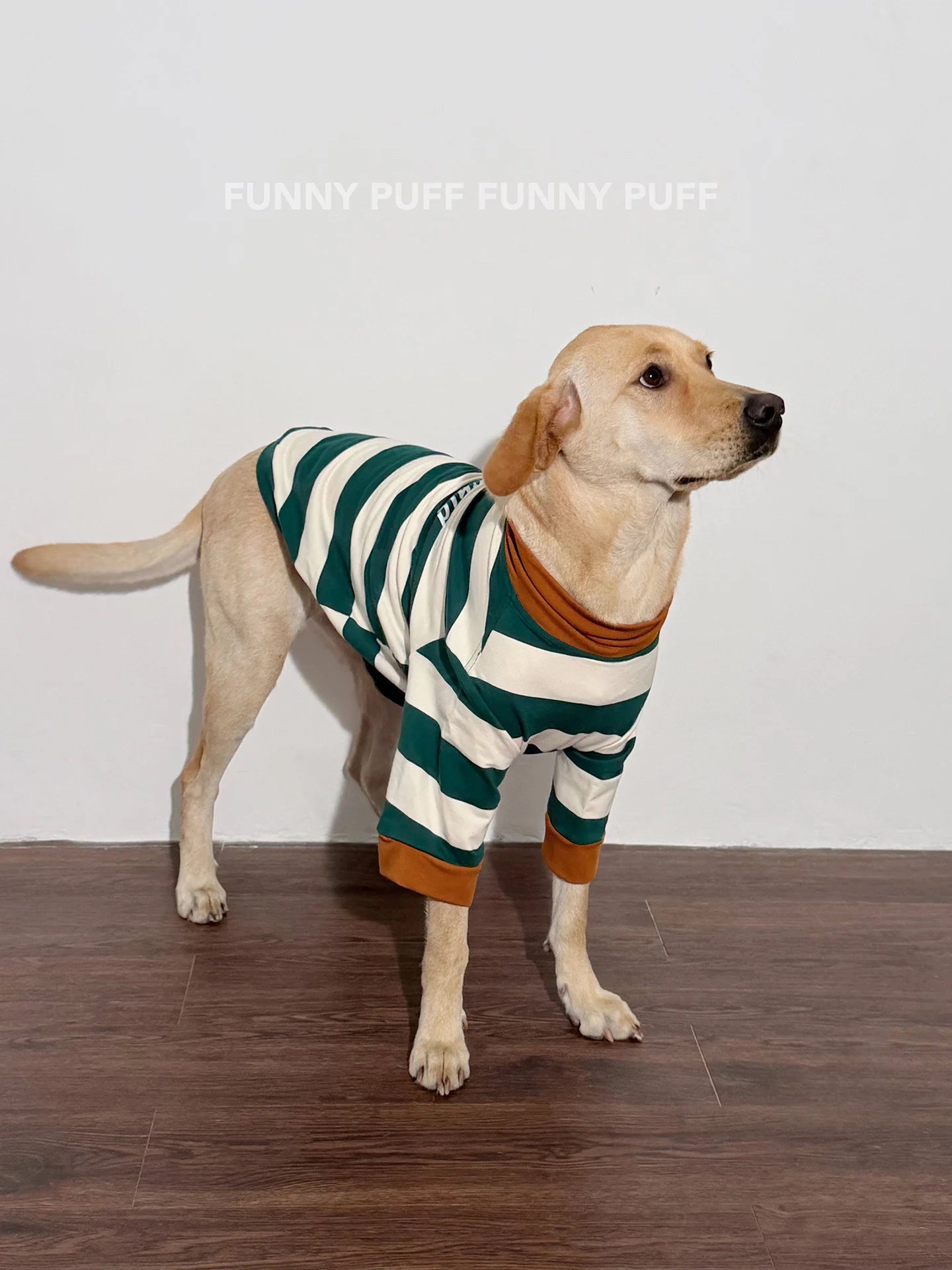 Green White Striped Dog Sweater for Medium. Large Dogs - 图片 7
