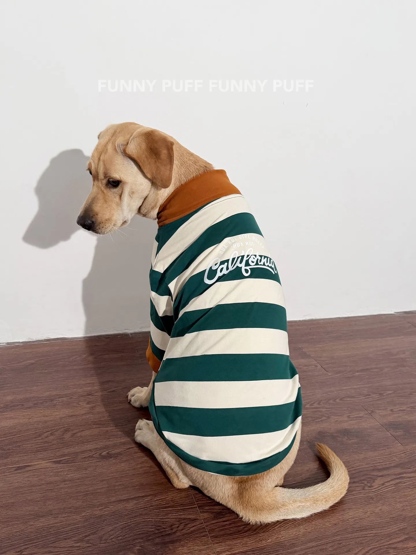 Green White Striped Dog Sweater for Medium. Large Dogs - 图片 8