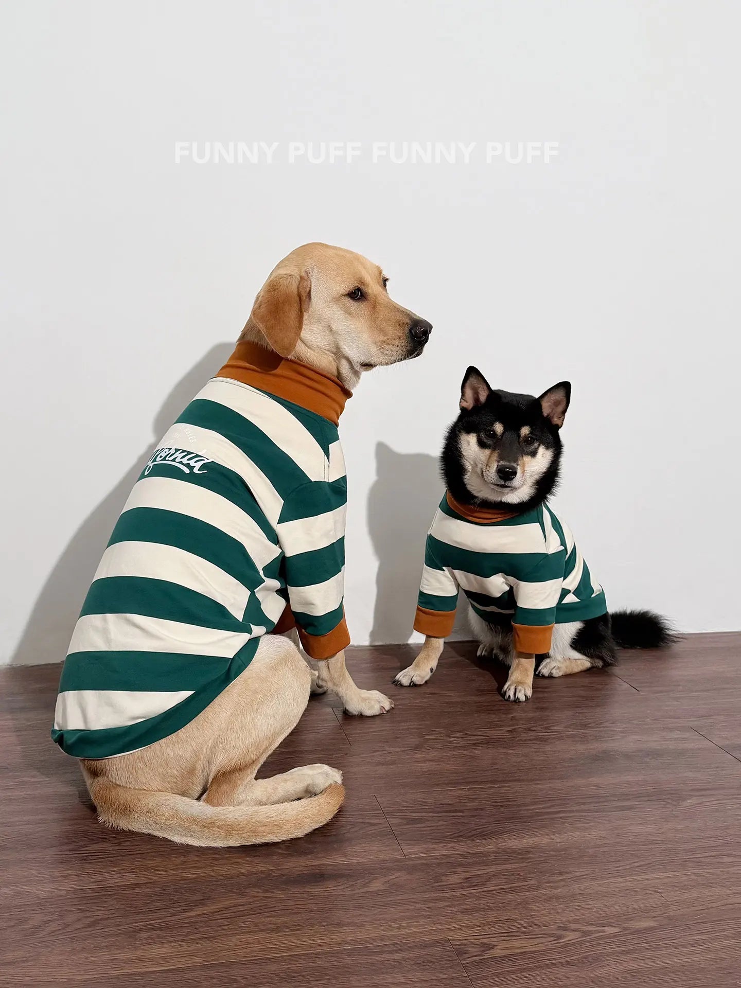 Green White Striped Dog Sweater for Medium. Large Dogs - 图片 9